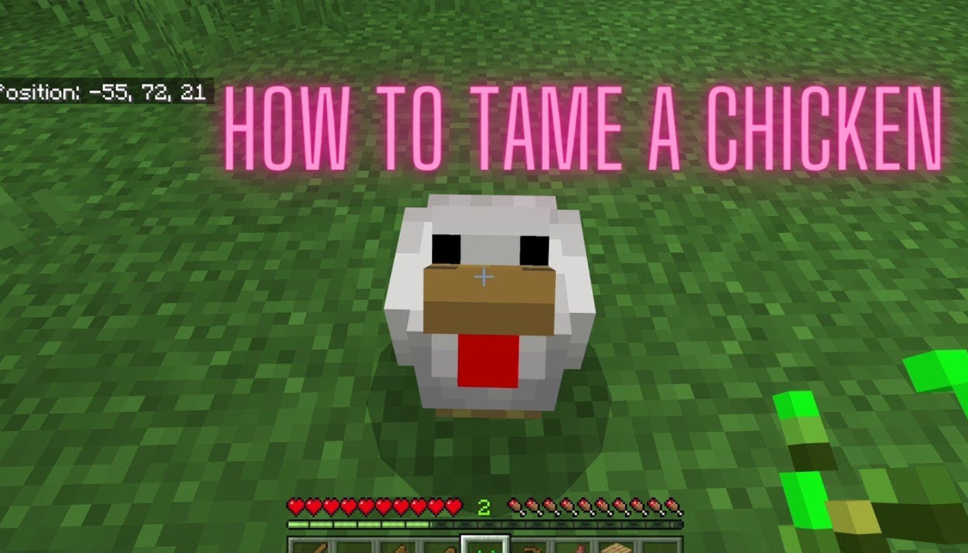 How To Tame Chickens In Minecraft